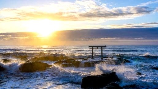 <Web割対象商品>【キングツアーバス旅】見渡す限り赤の絨毯!ひたち海浜公園もこもこコキアと絶景パワースポット大洗磯前神社&めんたいパーク〔府中・調布発〕2